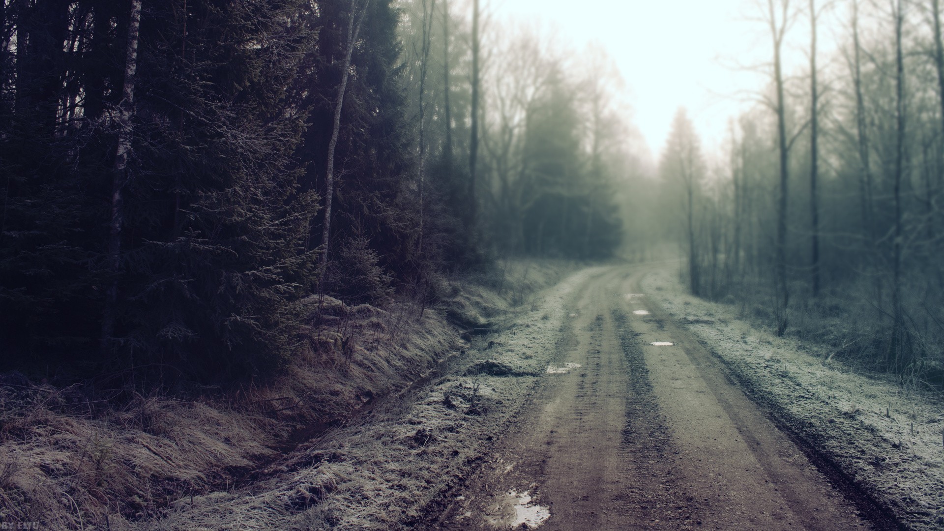 main-background